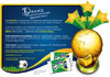 Copa do Mundo 2010